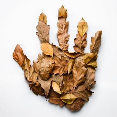 dried leaves.jpg